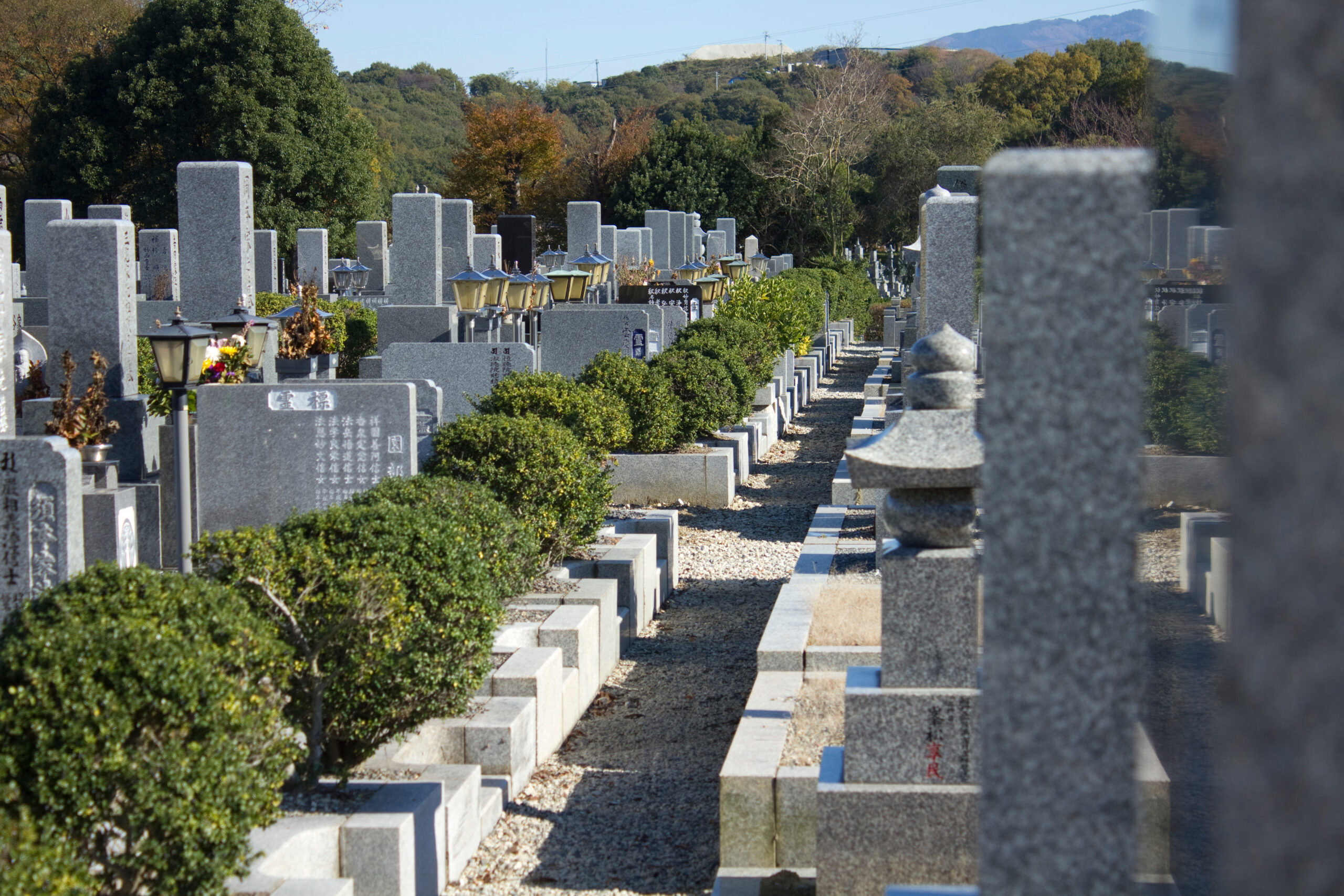 地域のイベントのチラシをきっかけに、定期的な清掃や供花を依頼し、いつでも清潔に保たれている墓地のイメージ