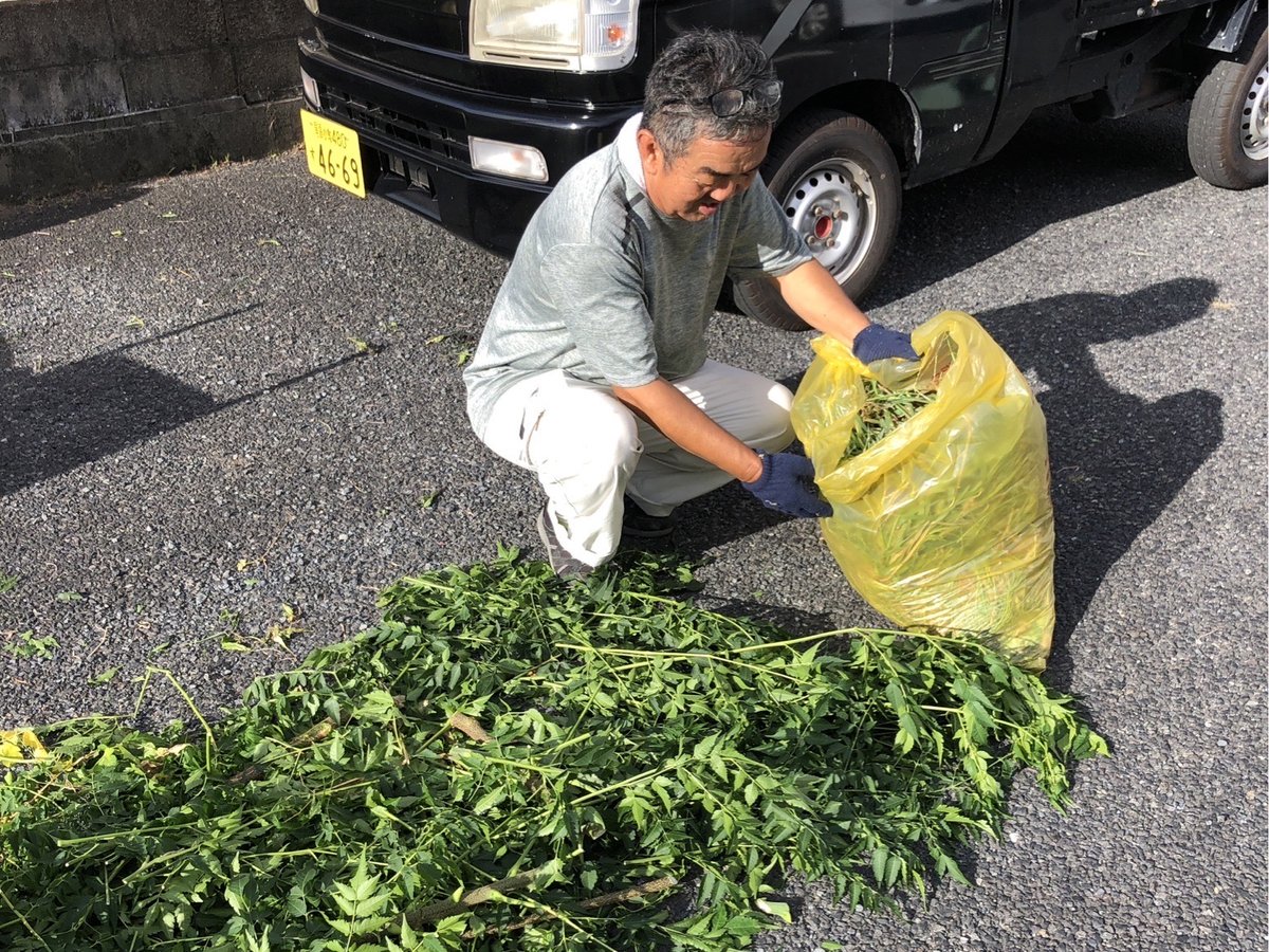 稲沢市内の貸駐車場で草取り・除草のボランティアを行う様子